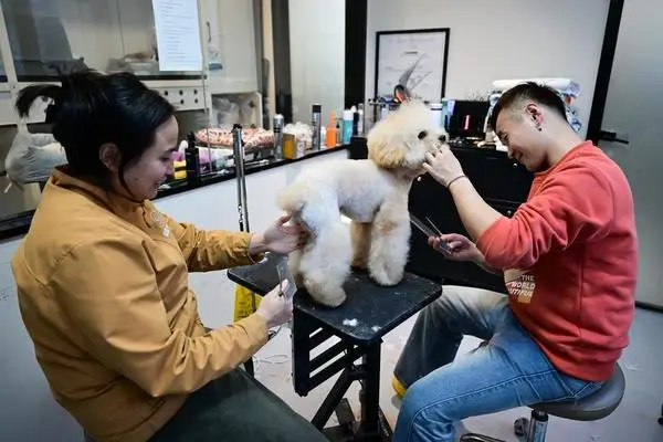 [차이나 트렌드] 가족이니까~ 지갑 여는 반려인…中 펫코노미, 춘절 특수 '톡톡'