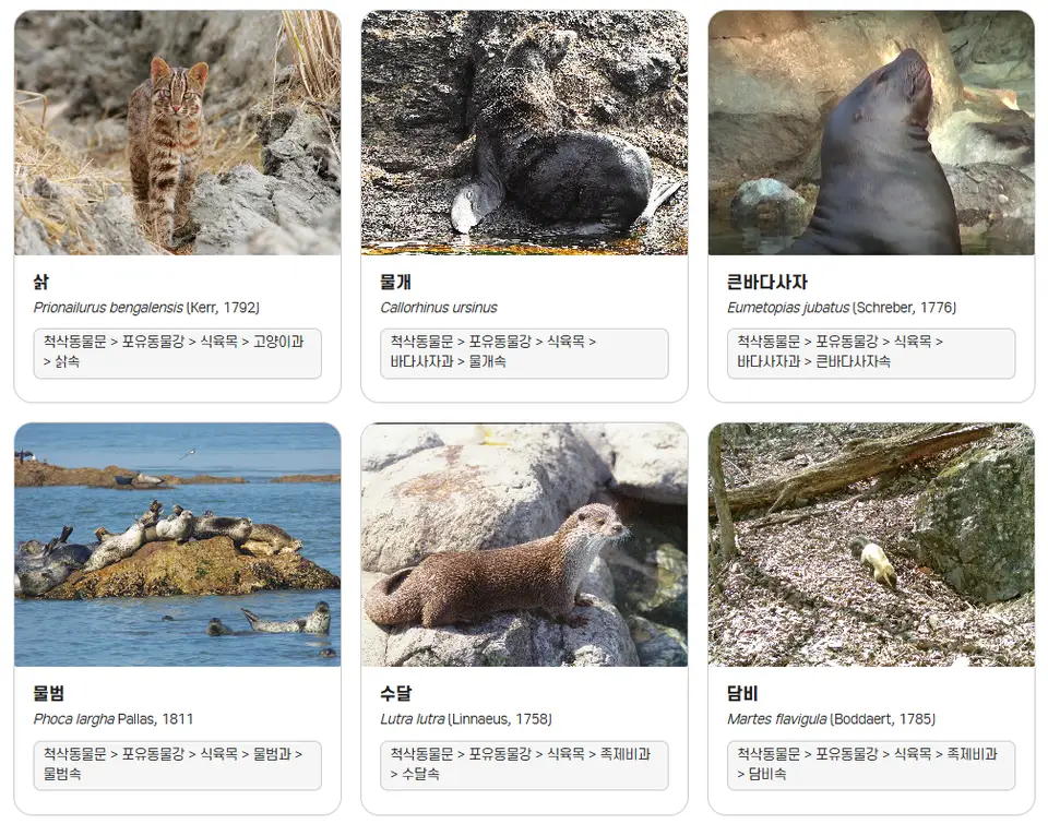 국제 멸종위기종 목록 조정…131종 신규 등재·상향 등 관리 강화