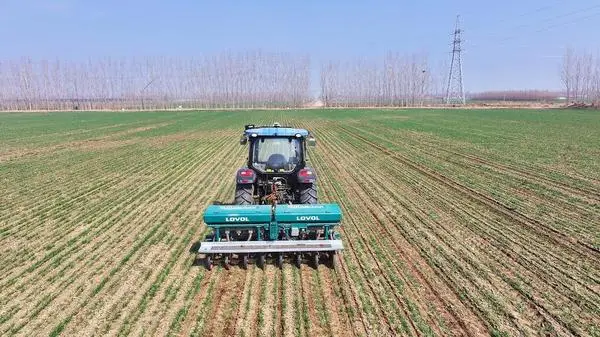 [경제+] 中 산둥성 'AI+농업' 가속…위성·드론이 밀밭 관리