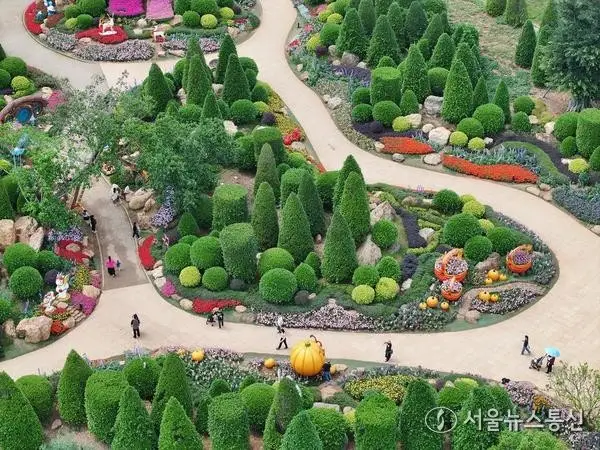 [차이나 트렌드] 中 '컬러 워크', 봄나들이 新트렌드로 급부상…관광업도 웃음꽃 '활짝'