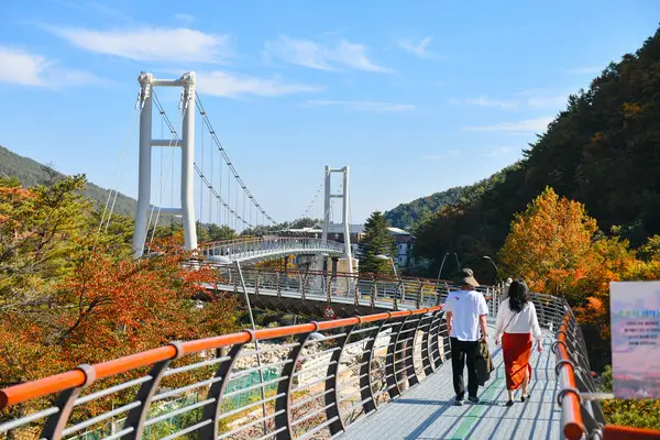 속초 설악향기로 누적 방문객 50만 명…체류형 관광지 도약 가속