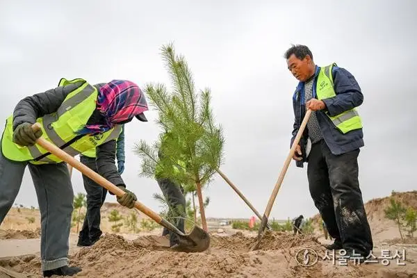 [사진] "올해 27만㏊ 정비 목표"…中 퉁랴오시, 사막화 방지 프로젝트 가속