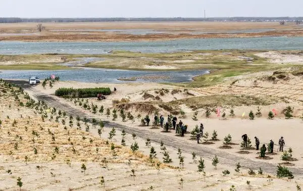 [사진] 中 네이멍구 퉁랴오, 사막화 방지 작업 한창