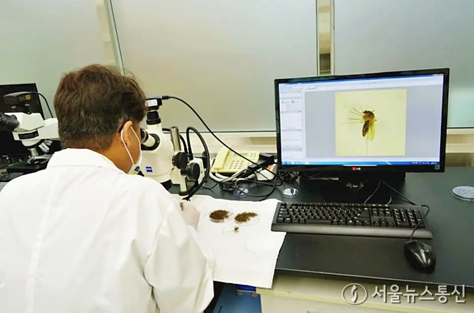 기온 상승에 모기 급증 조짐…일본뇌염 위험 ‘예년의 7배’