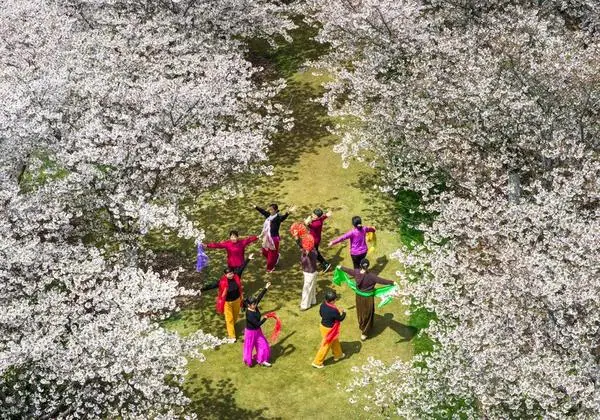 [경제+] 살아나는 소비, 빨라지는 혁신…中 닝보 경제의 이중 동력