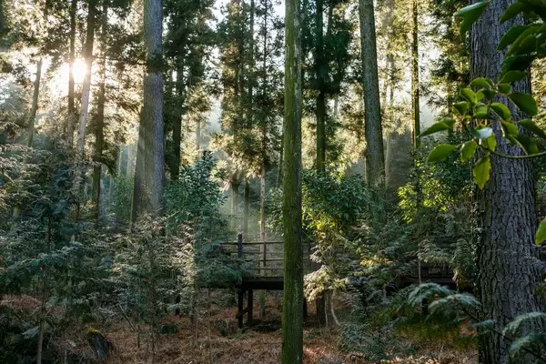 전남도, 축제·체험·힐링·야경·봄꽃 등 가족 여행 코스 추천