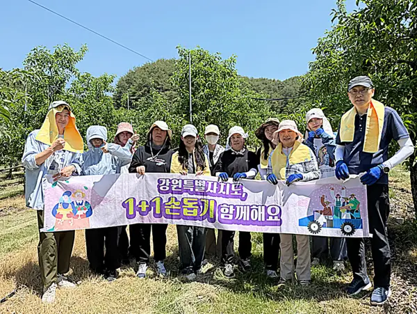 강원자치도 보건식품안전과, 홍천 사과농가서 구슬땀