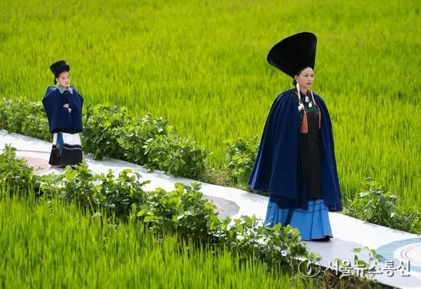 [사진] 논 사이를 걷는 中 이족 모델