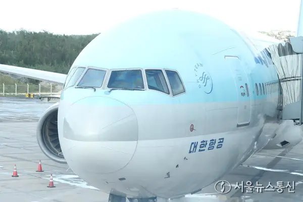 [데스크 칼럼] 220명 방치한 대한항공의 '침묵', 매뉴얼은 있고 승객은 없었다