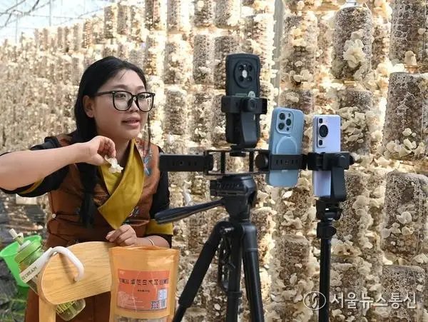 [사진] 라이브커머스로 전해지는 진한 버섯 향기
