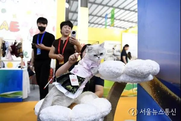 [사진] 고양이 캣타워 소개하는 참가업체 관계자